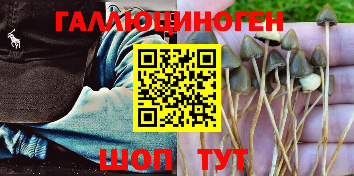 где продают   Вход с VPN  Котлас  Галлюциногенные грибы мухоморы 