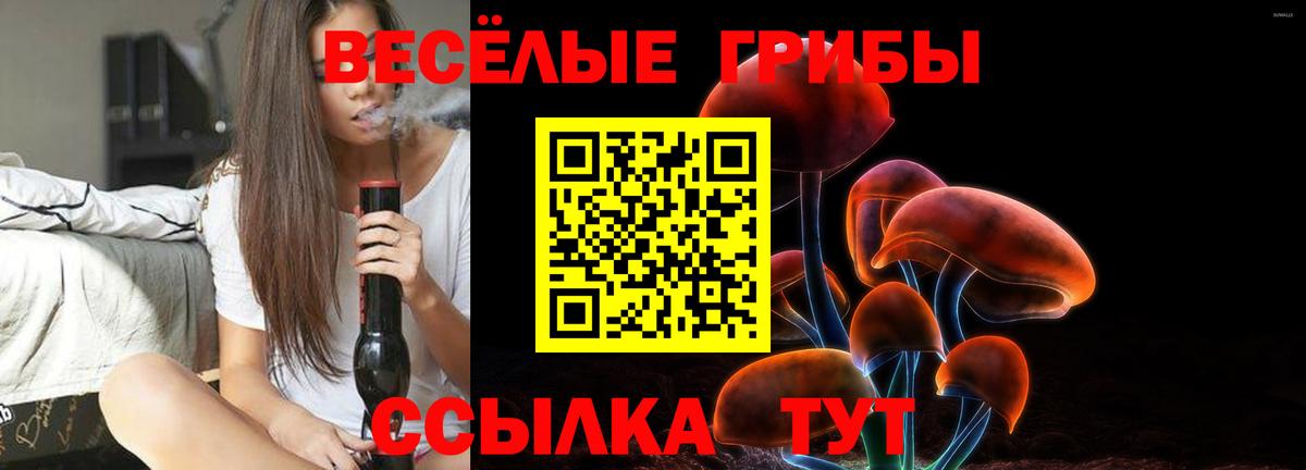 Галлюциногенные грибы Magic Shrooms Котлас