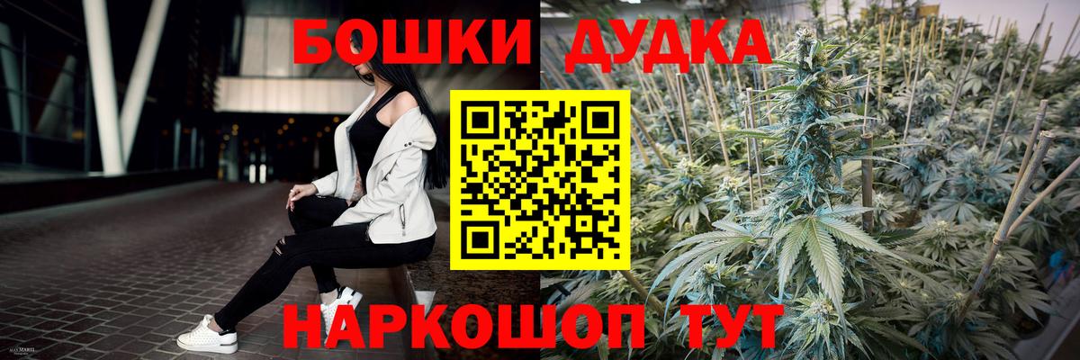 Котлас  МАРИХУАНА гибрид  Каннабис план  Марихуана планчик  Каннабис ГИДРОПОН  Вход с VPN 